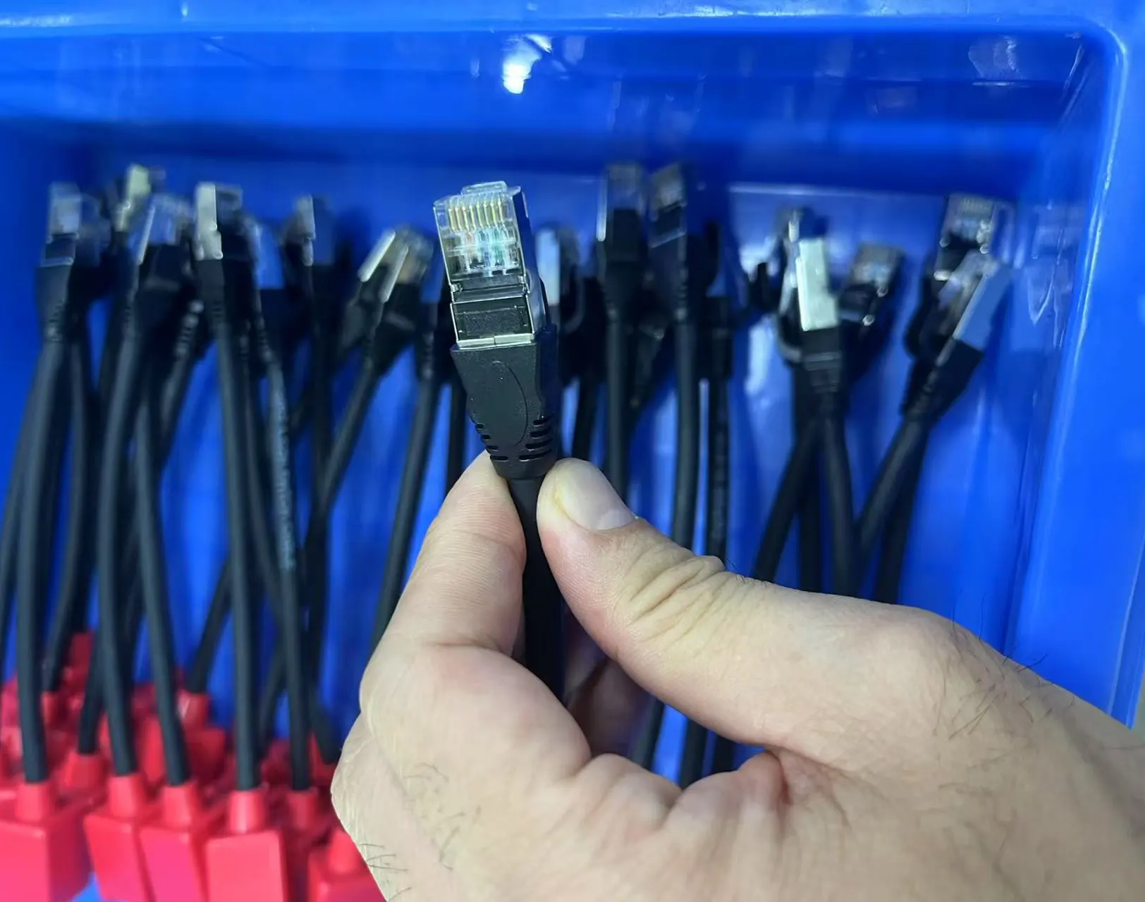 rj45 wire harness