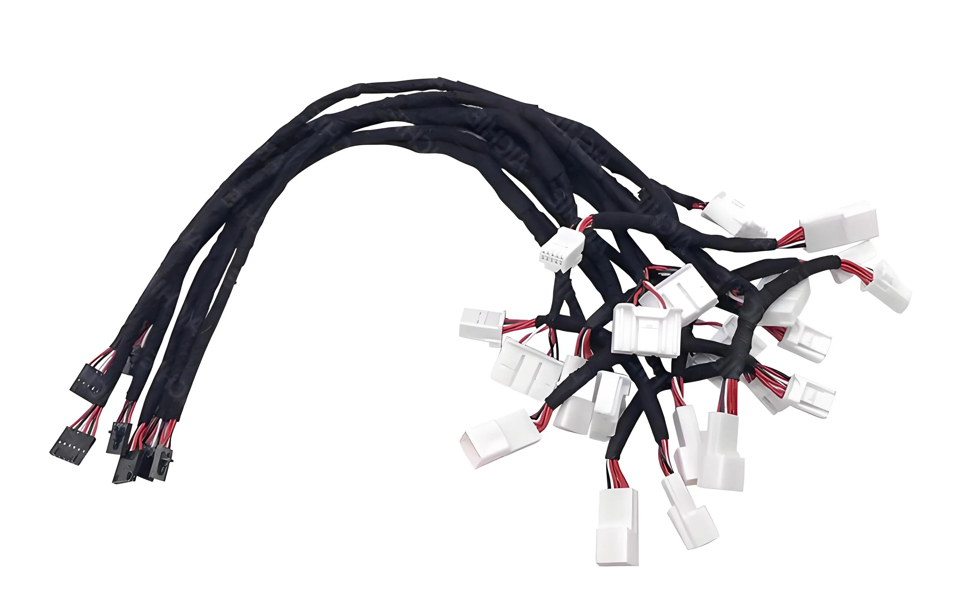 Branched Harness