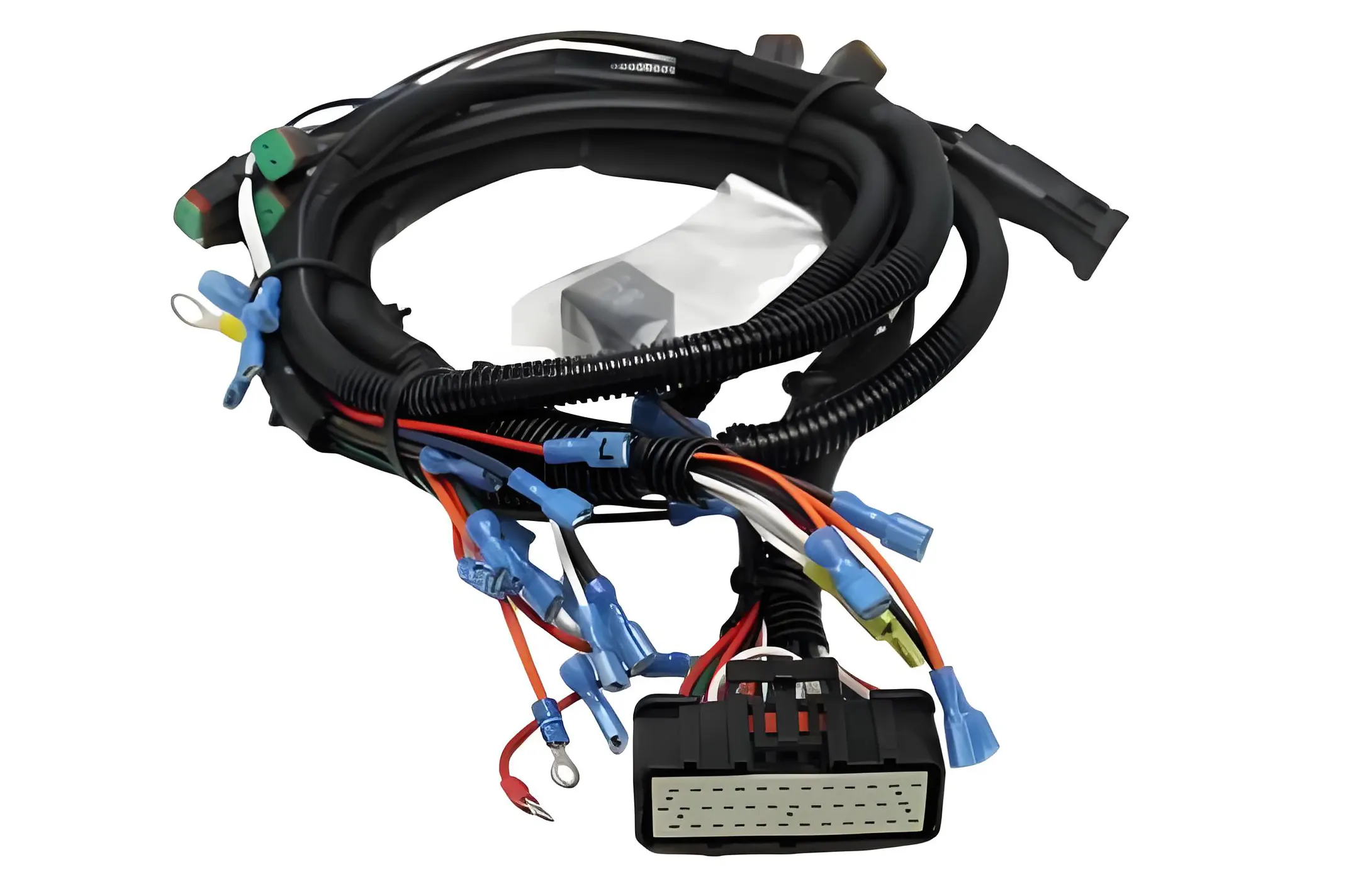 ECU wiring harness